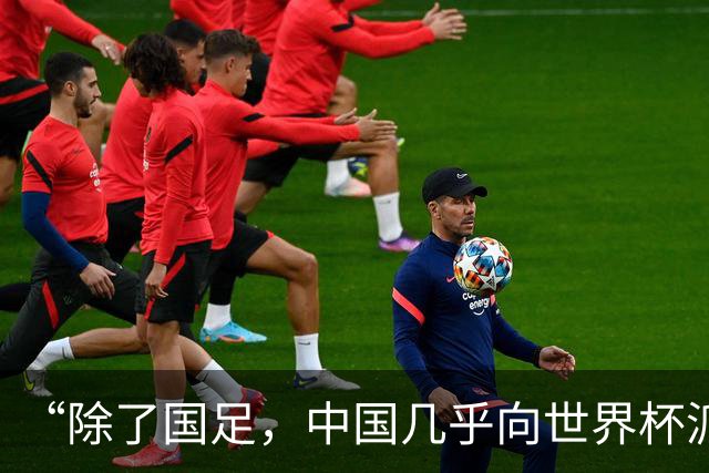 “除了国足，中国几乎向世界杯派去了一切”